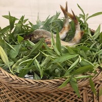 日本料理 久丹 - 