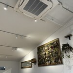 GRAPEREPUBLICINC. VINERIA SALONE - 