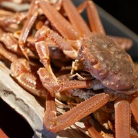 かにかとう - 