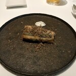 269035231 - 