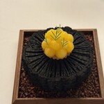 Installation Table ENSO L'asymetrie du calme - 