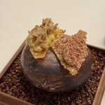 Installation Table ENSO L'asymetrie du calme - 