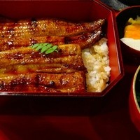 菊屋 - 鰻重・・・特上です