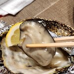 志ま根 - プルプル