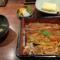 新宿うな鐵 はなれ - うな重