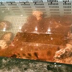 光る海 - マツカワ