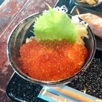 光る海 - イクラミニ丼