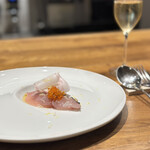 Raiz - 鰆 飛鳥あかね 紅玉