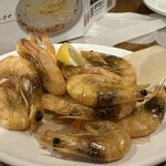 ニューコマツ - 