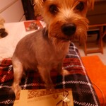 コンディトライ バッハマン - 