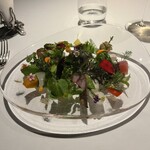 レフェルヴェソンス - 