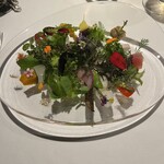 レフェルヴェソンス - 