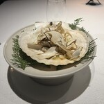 レフェルヴェソンス - 