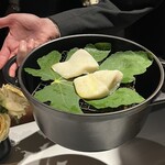 レフェルヴェソンス - 