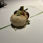 レフェルヴェソンス - 