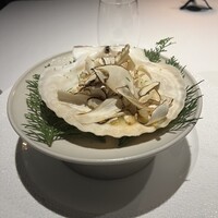 レフェルヴェソンス - 