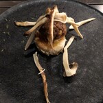 北海道焼肉 北うし - 