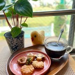 レタンプリュス - ★家で撮影 プティフールセック 6種類