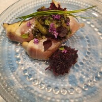 OLMO - 