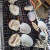 焼蛤 浜茶屋 向島