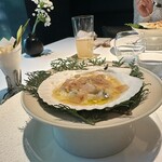 レフェルヴェソンス - 