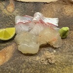 道人 - 明石の鯛と淡路の伊勢海老