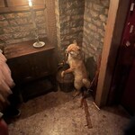 ベンフィディック - 