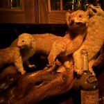 ベンフィディック - 