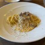 プロシュッテリアモリモト - 