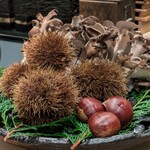 269091634 - 秋〜真っ盛り