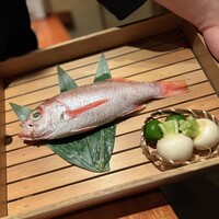 のどぐろ専門 銀座 中俣 - 