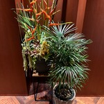 鉄板焼 かいか - 