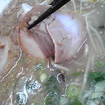 おんがラーメン - チャーシューは塩味が強めの豚バラ肉。