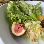 カレント - 新鮮な糸島野菜のサラダ