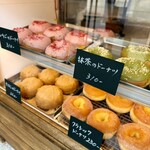 Little Bear Meister - 