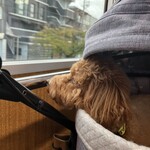 串カツ ゆらり亭 - 車窓を眺める！