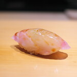 こま田 - 愛媛のシロアマダイ。