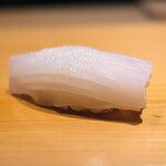 こま田 - ケンサキイカ。切り付けが巧みで食感がとてもいい。