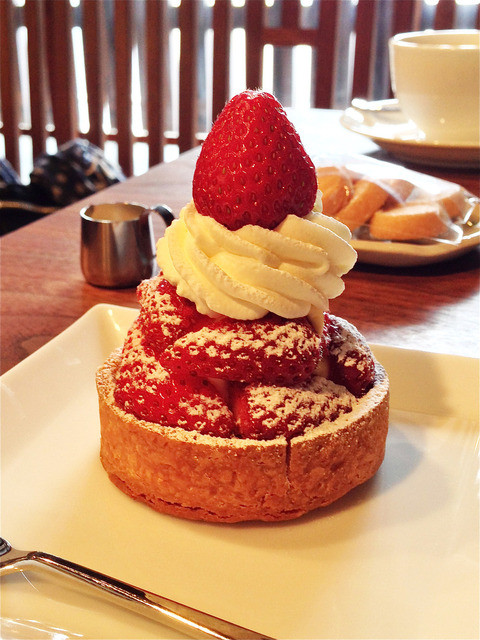 マルク パージュ Marque Page 丸太町 京都市営 ケーキ 食べログ マルク パージュ Marque Page 丸太町 京都市営 ケーキ 食べログ