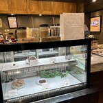 BLUE LEAF CAFE - ブルーリーフで打ち合わせ