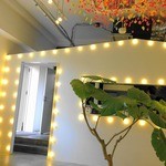 ニノーバル カフェ - 店内