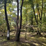 フォレスト ヴェール - 