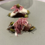 Veggie by y - 