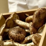 徳ㇵ本也 - 高野山産の松茸