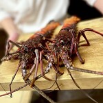 徳ㇵ本也 - 三重産の伊勢海老