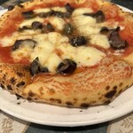 マッシモッタヴィオ - 