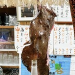田なべ - アンコウの吊るし切り