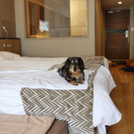 乃の風リゾート - お部屋の様子