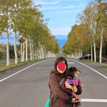 乃の風リゾート - 八雲ＰＡ（函館からの途中）