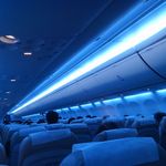 神戸六甲牧場 - 機内イルミ